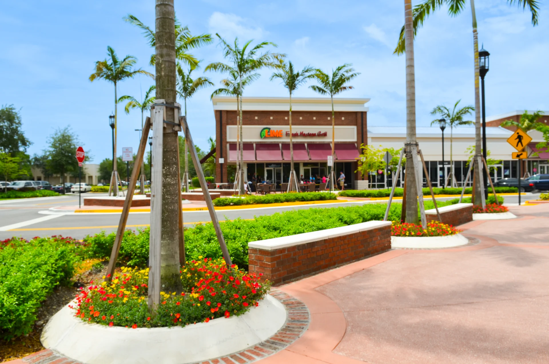 trees walkway store