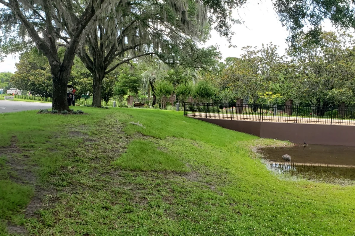 sidewalk and railing over water
