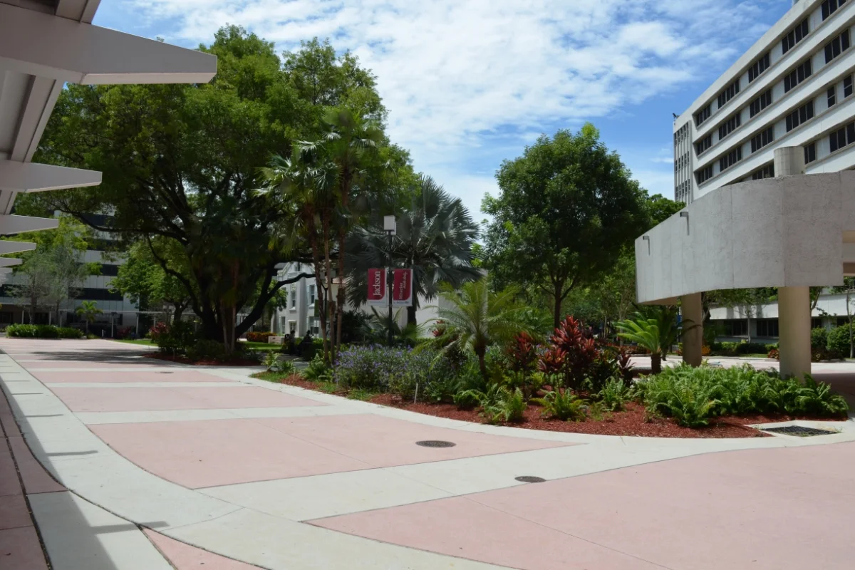 Jackson Memorial Hospital Renovations