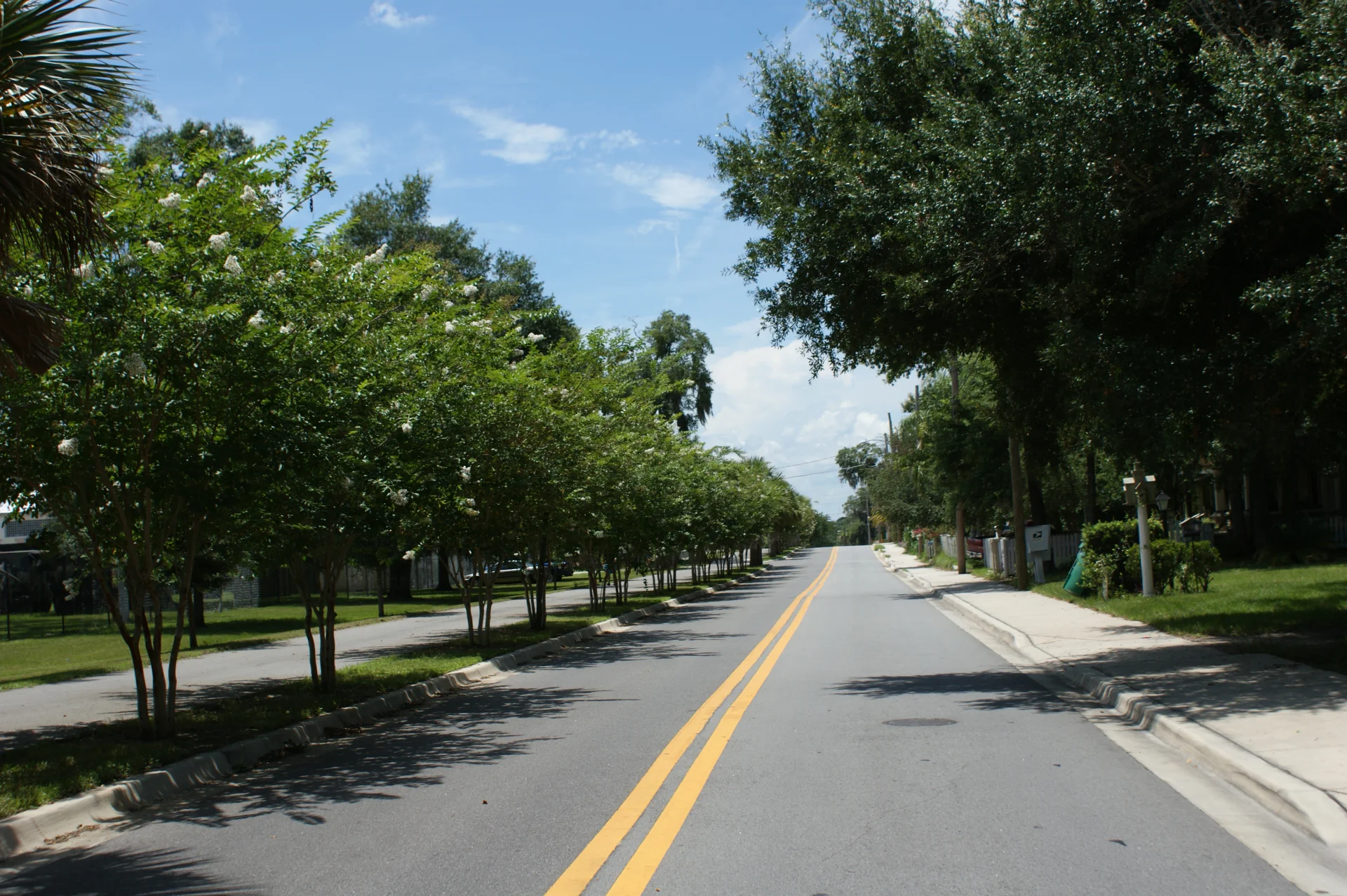 roadway with lines
