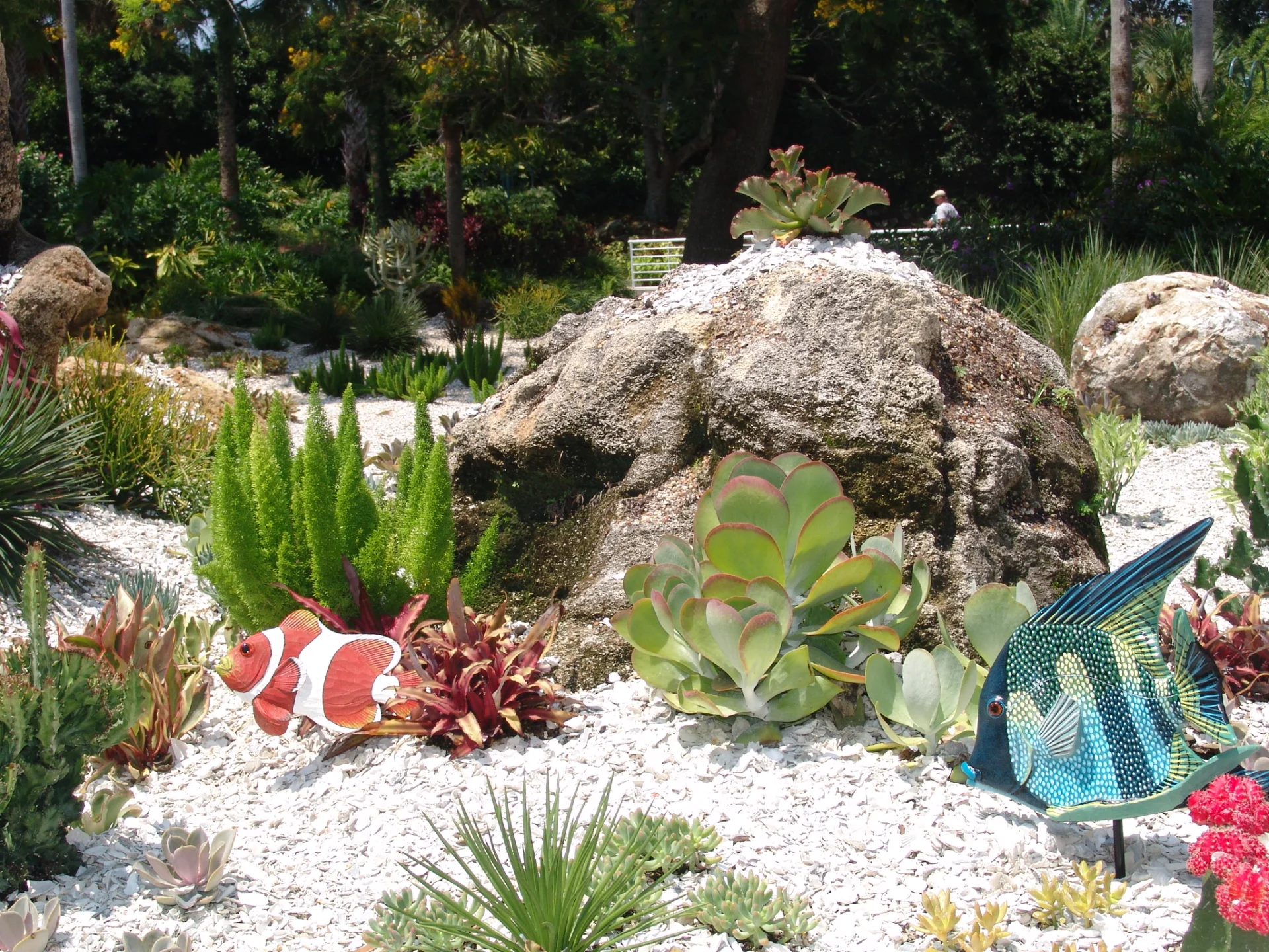 fish in garden