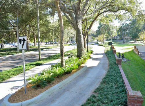 sidewalk with vegetation island