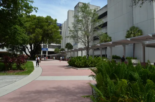 Jackson Memorial Hospital Renovations